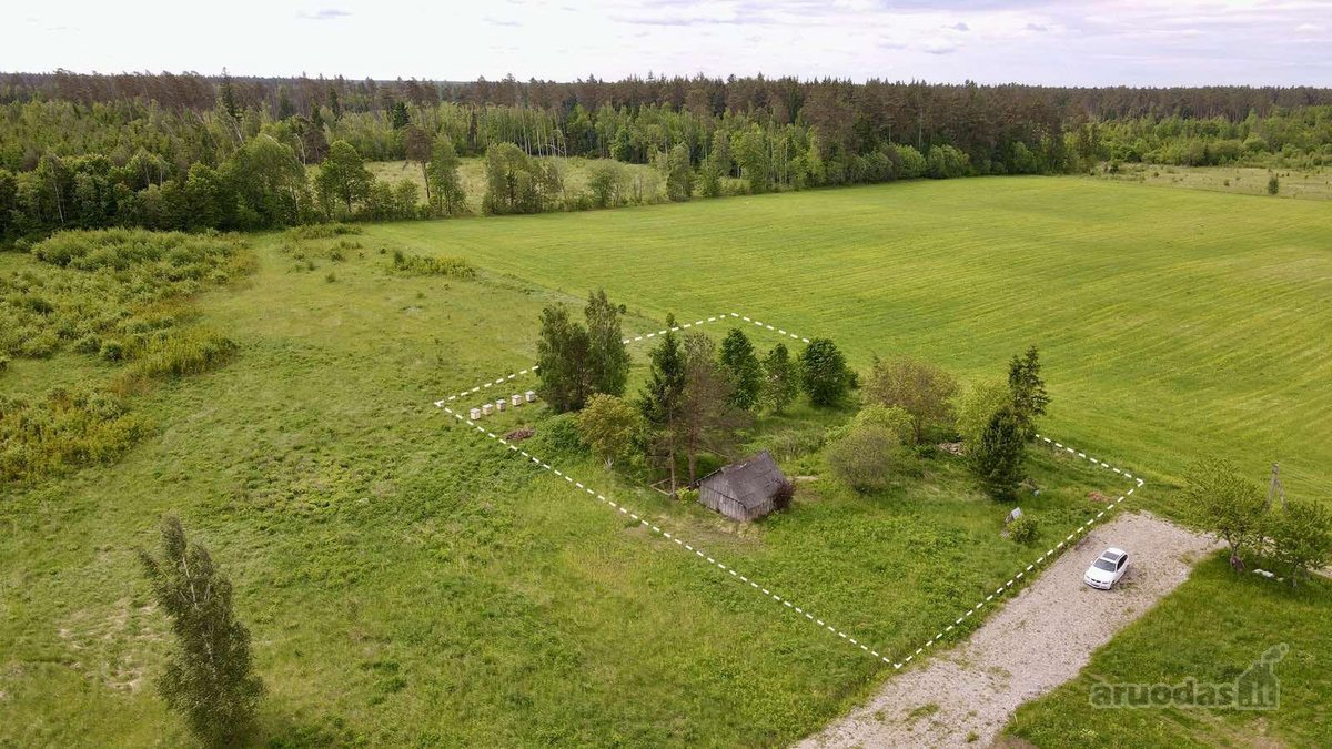 Parduodamas erdvus 16,43 arų namų valdos - nuotraukos Nr. 3