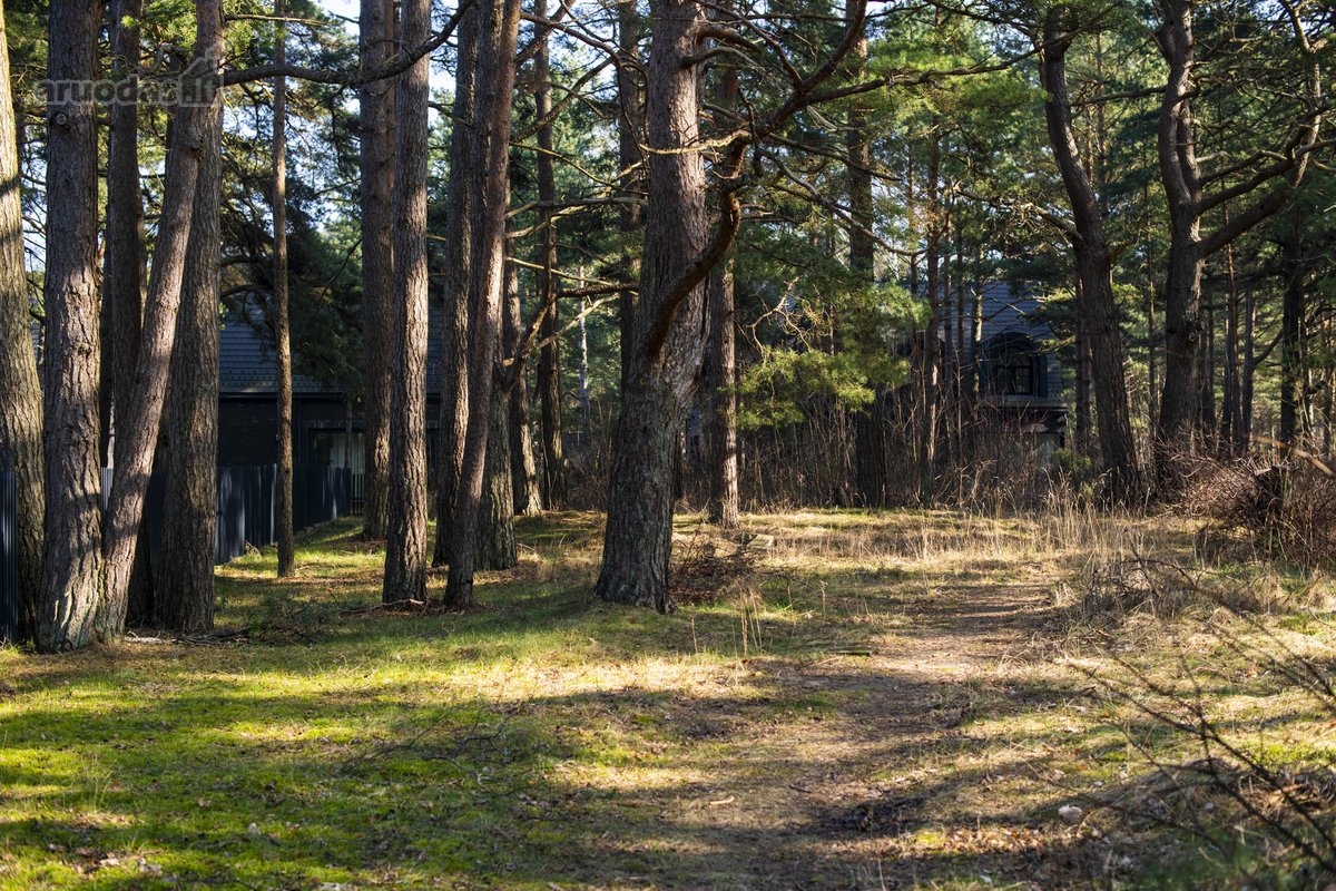 Privati gyvenamoji rezidencija Palangos parko