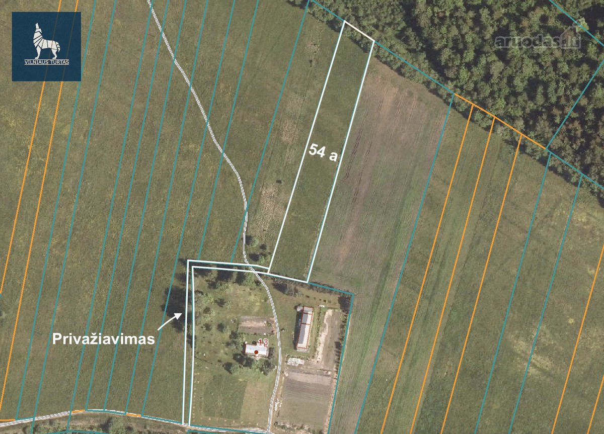 Parduodamas 54 arų žemės ūkio paskirties - nuotraukos Nr. 2