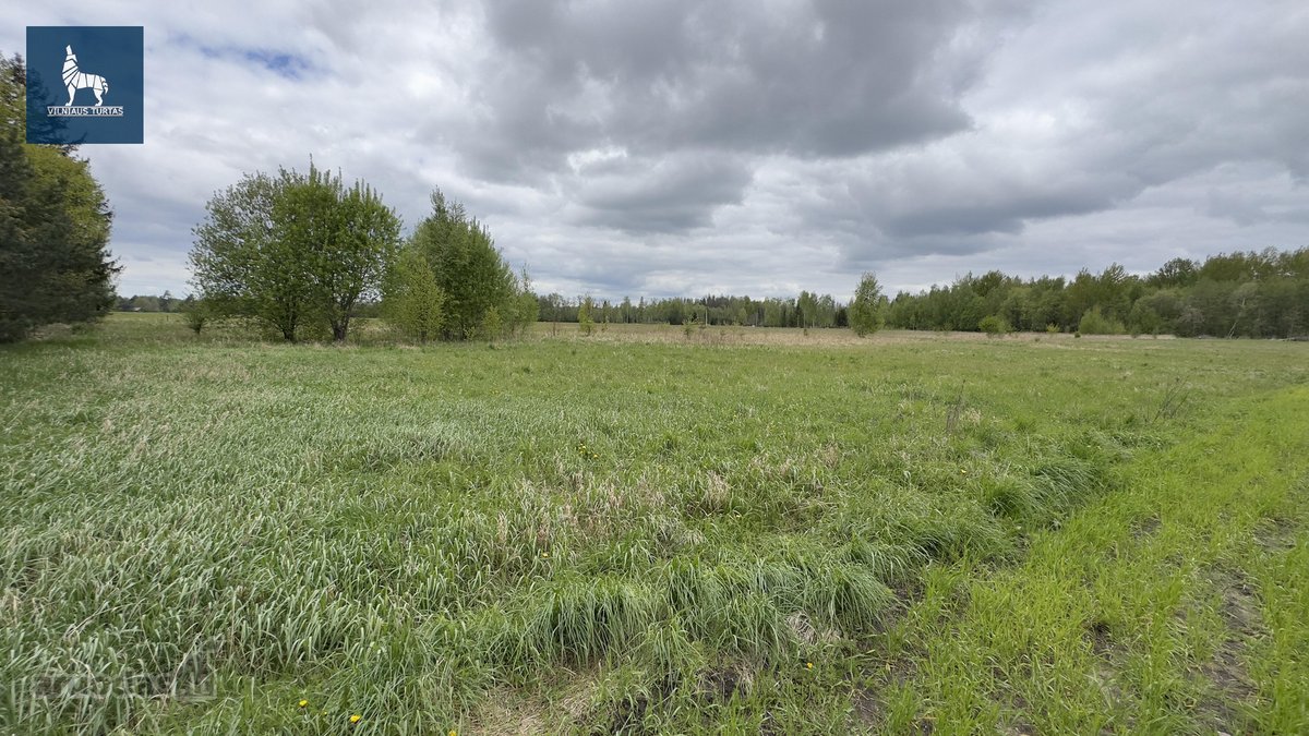 Parduodamas 54 arų žemės ūkio paskirties - nuotraukos Nr. 4