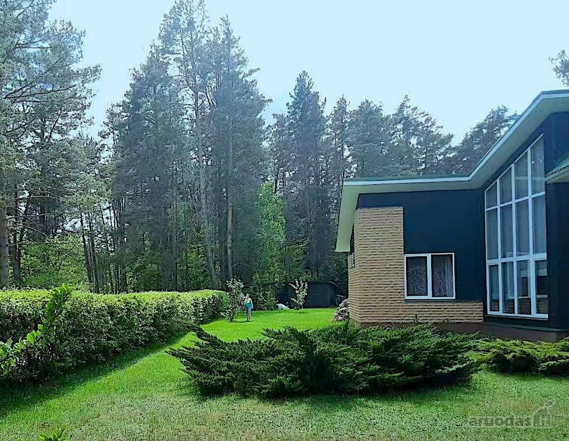 Ant šimtamečio pušyno kalvos, - nuotraukos Nr. 26