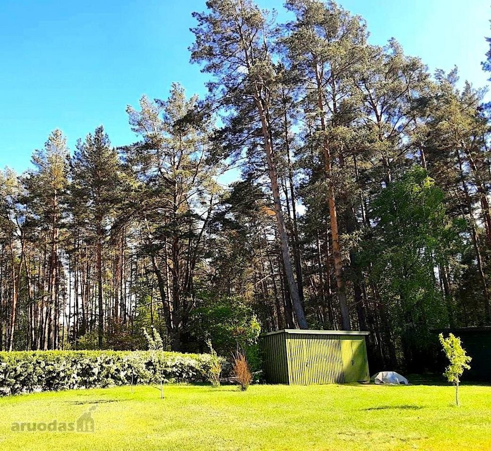 Ant šimtamečio pušyno kalvos, - nuotraukos Nr. 32