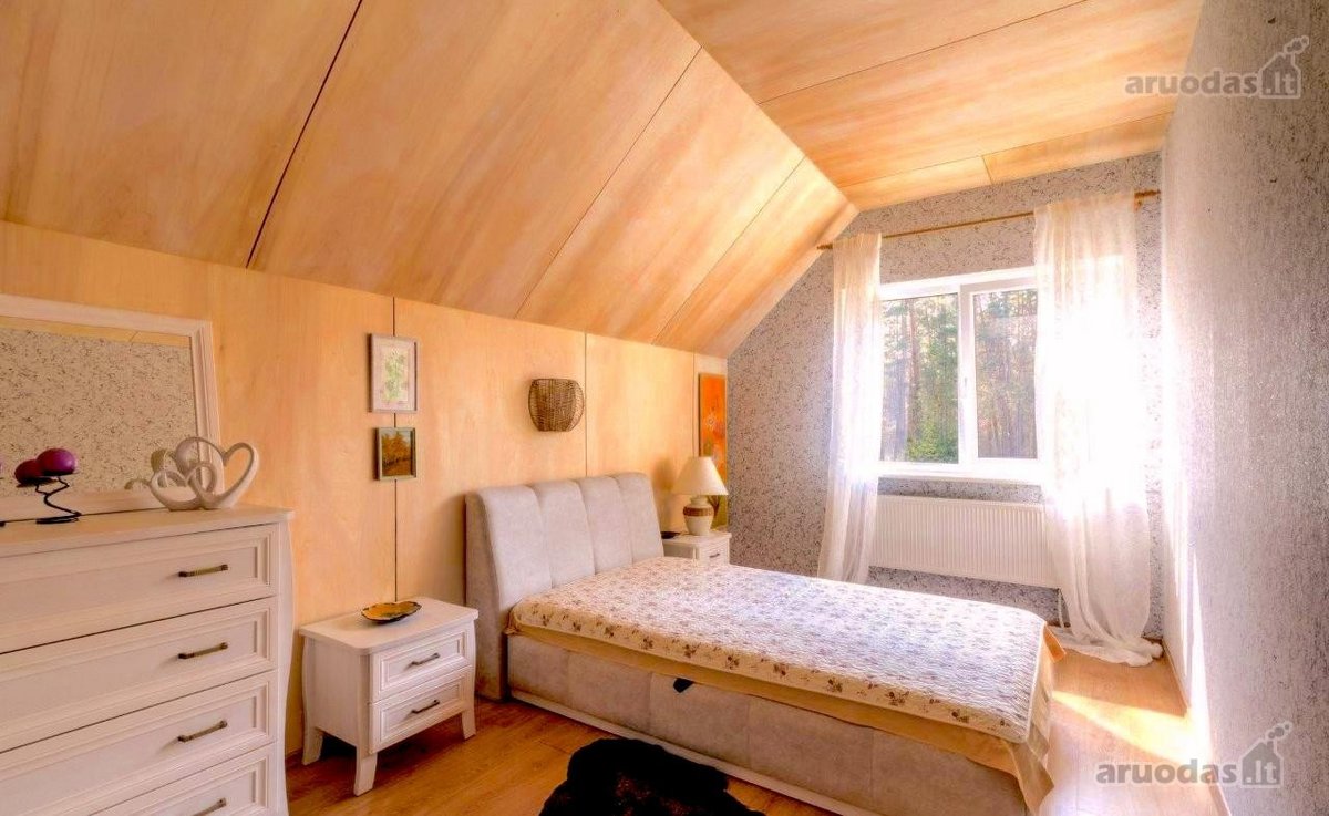 Ant šimtamečio pušyno kalvos, - nuotraukos Nr. 17