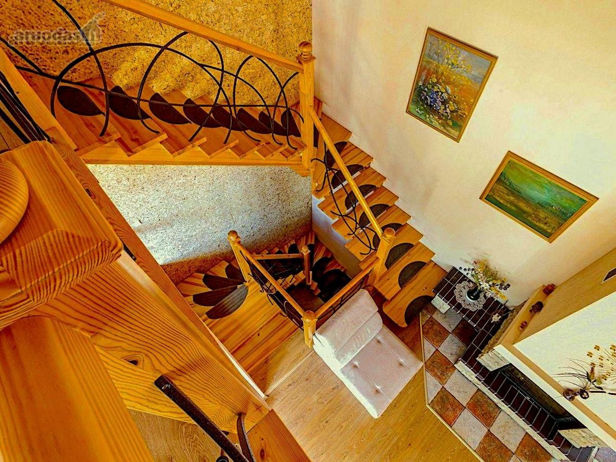 Ant šimtamečio pušyno kalvos, - nuotraukos Nr. 15
