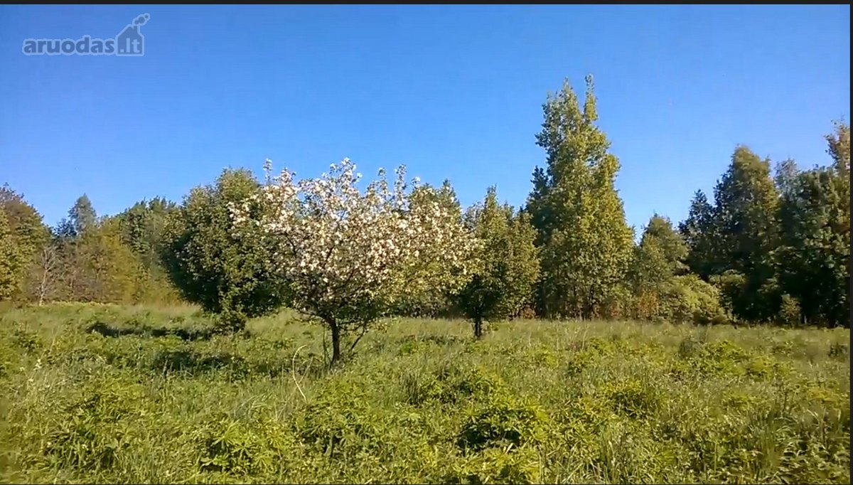 Zemaitijos viduryje parduodamas naturalios