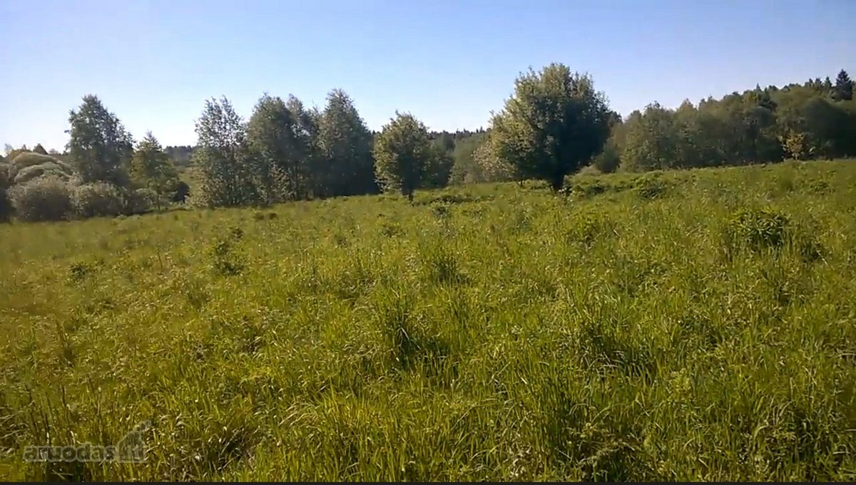 Zemaitijos viduryje parduodamas naturalios - nuotraukos Nr. 6