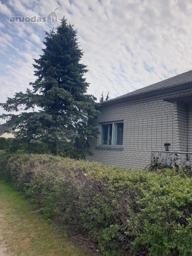 Parduodamas namas Šilalės mieste. - nuotraukos Nr. 14