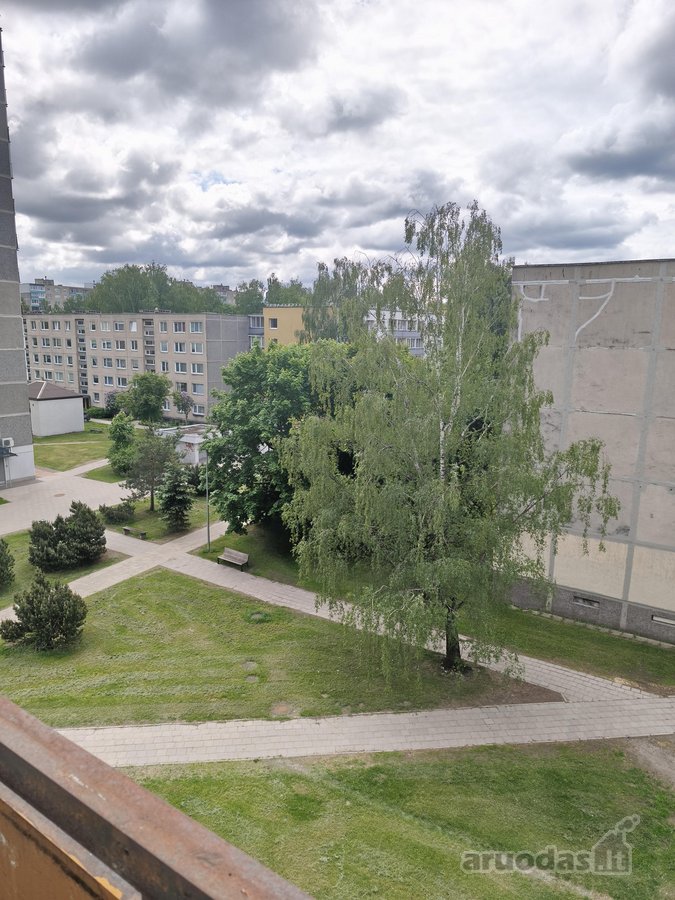 Brokeriu Paslaugos Nedomina. - nuotraukos Nr. 20