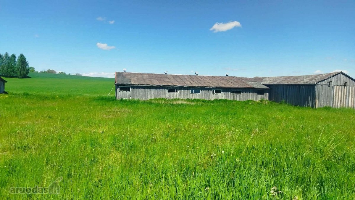 Žemės sklypas ramioje vienkiemio tipo vietoje - nuotraukos Nr. 6