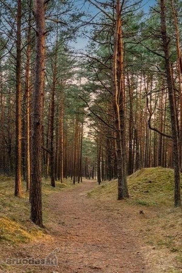 Parduodami pilnai įrengti apartamentai - nuotraukos Nr. 18