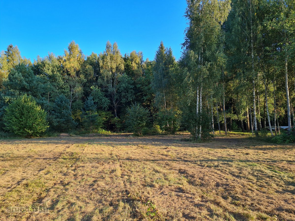 Parduodamas 25a namų valdos sklypas - nuotraukos Nr. 2