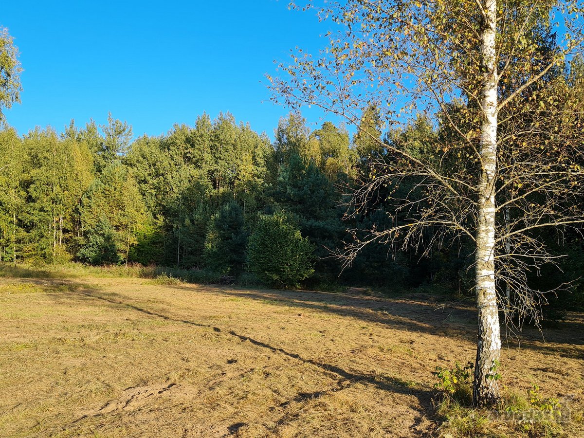 Parduodamas 25a namų valdos sklypas - nuotraukos Nr. 3