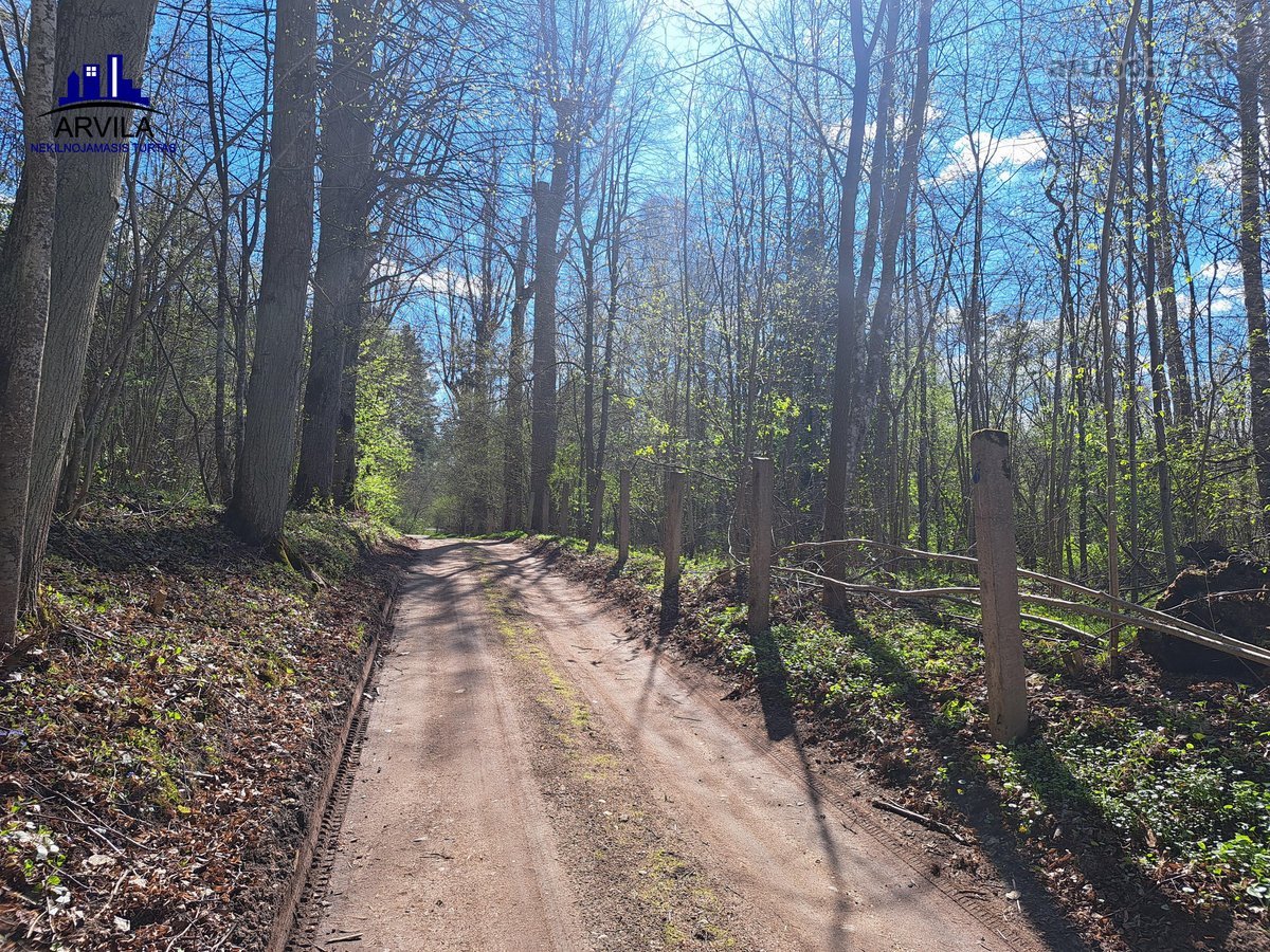 Parduodamas sklypas šalia Nemenčinės - nuotraukos Nr. 9