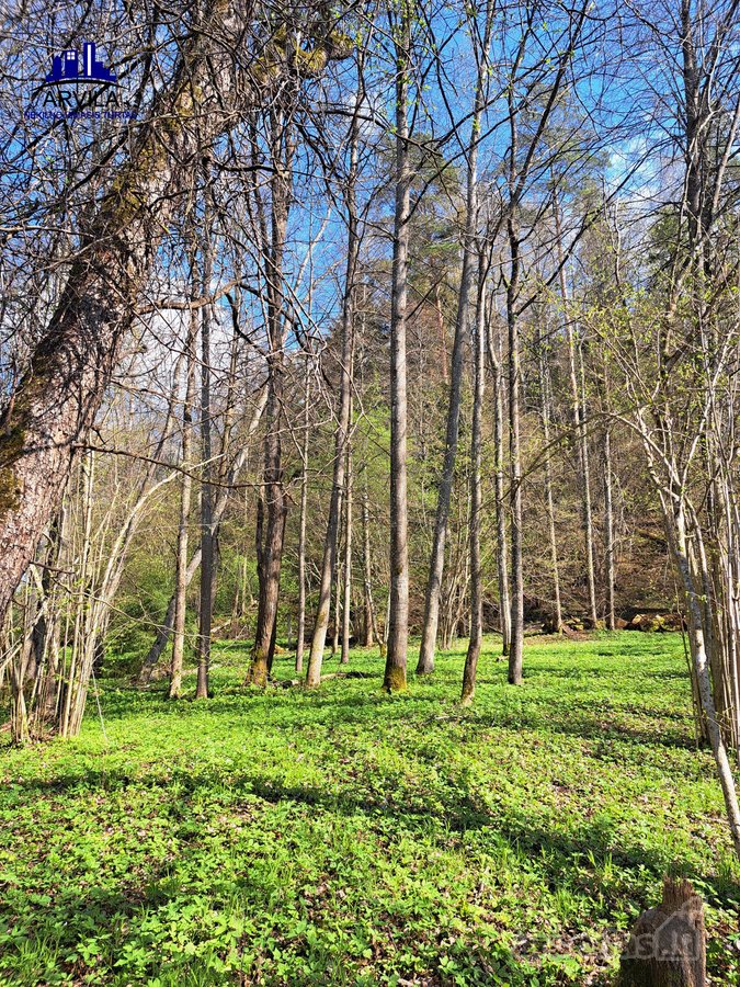 Parduodamas sklypas šalia Nemenčinės - nuotraukos Nr. 15