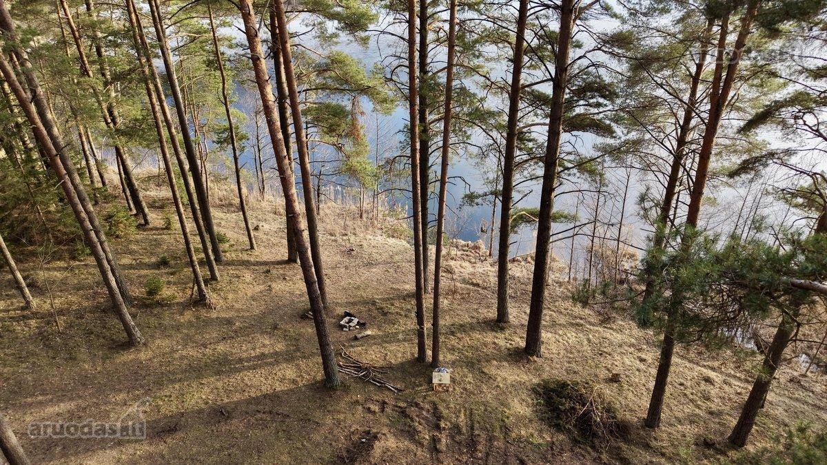 Sklypas prie ežero Molėtuose su nuosavu mišku! - nuotraukos Nr. 5