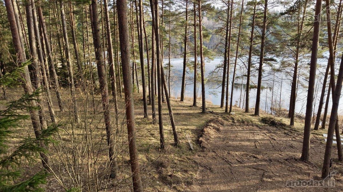 Sklypas prie ežero Molėtuose su nuosavu mišku! - nuotraukos Nr. 6