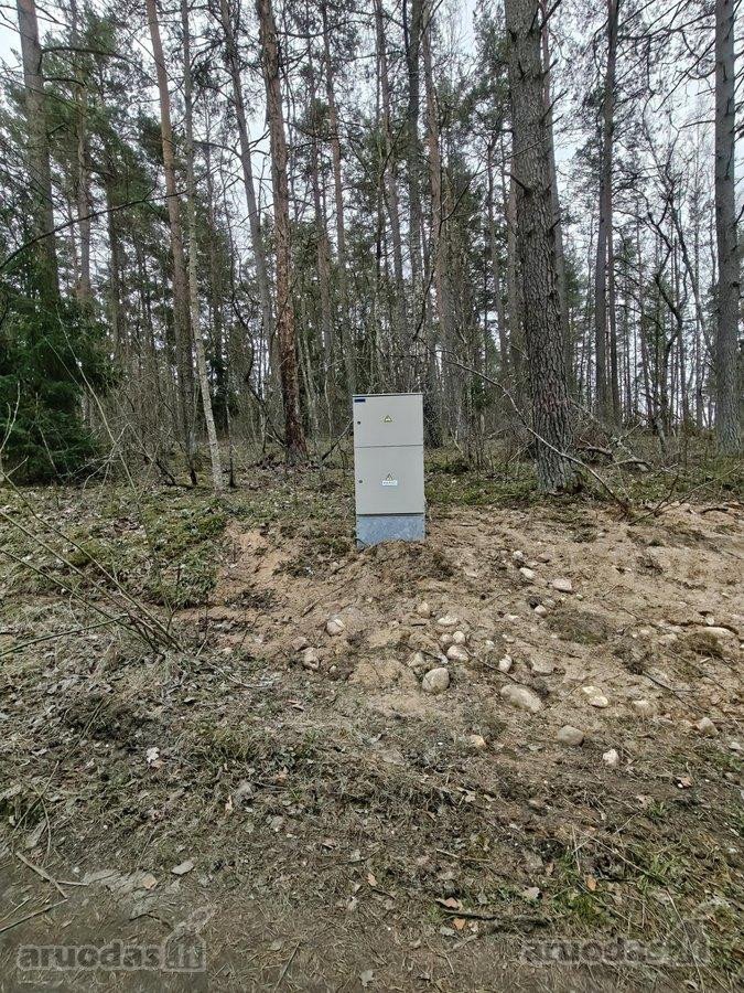 Sklypas prie ežero Molėtuose su nuosavu mišku! - nuotraukos Nr. 13