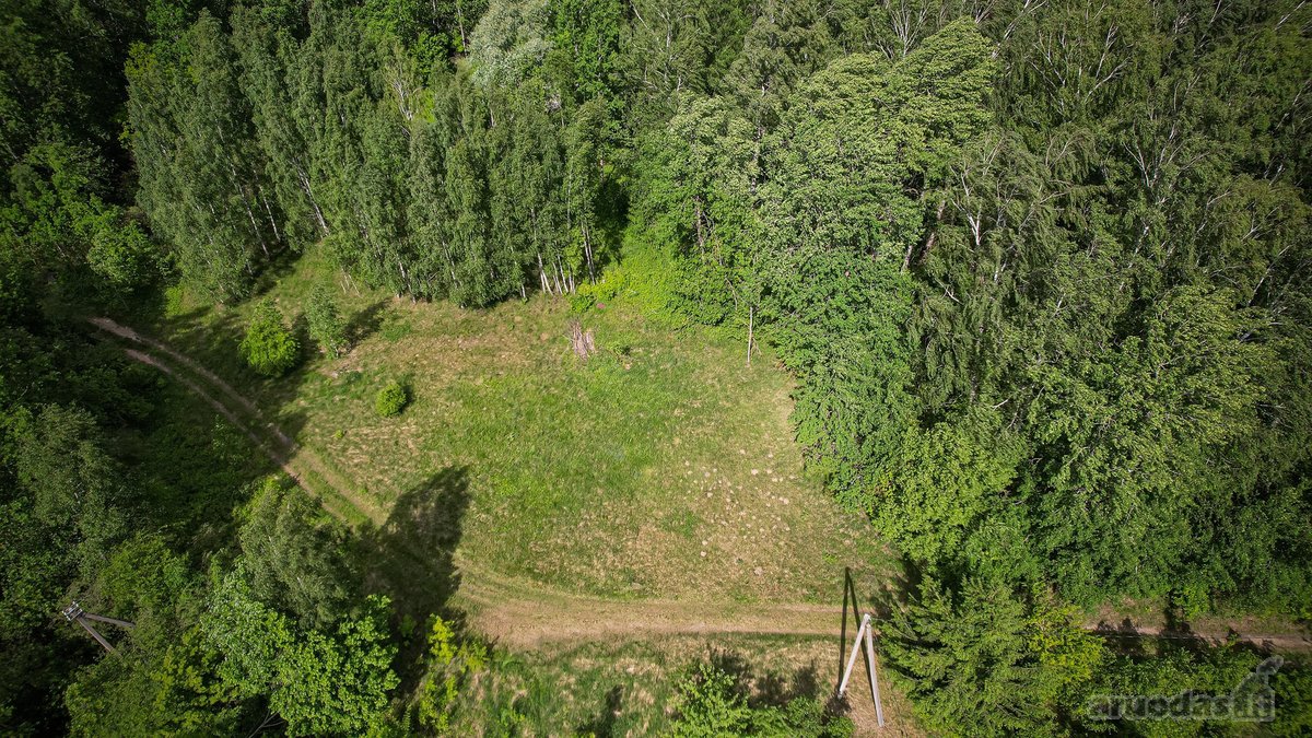 Parduodami trys gretimi sklypai sodų