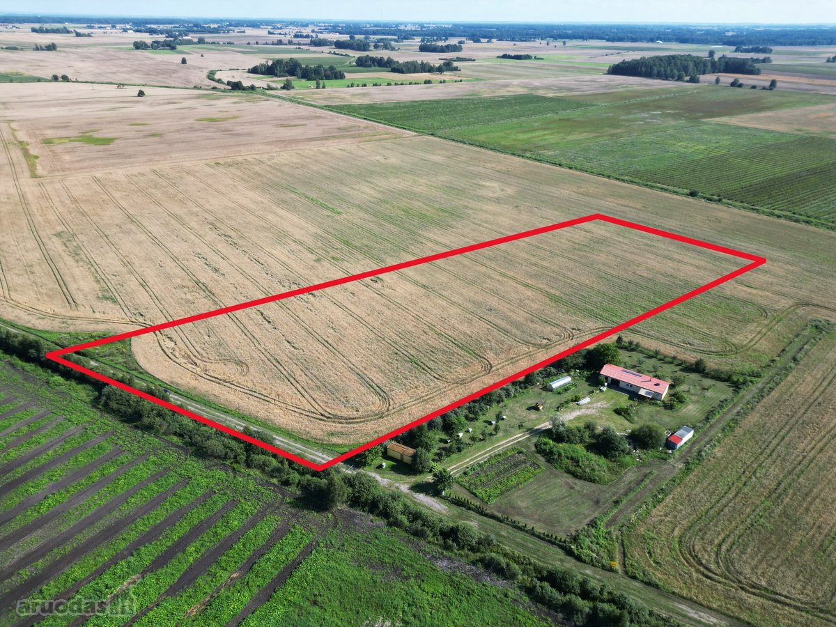 Girininkų II Kaime, Parduodamas 2,4 Ha Žemės - nuotraukos Nr. 2