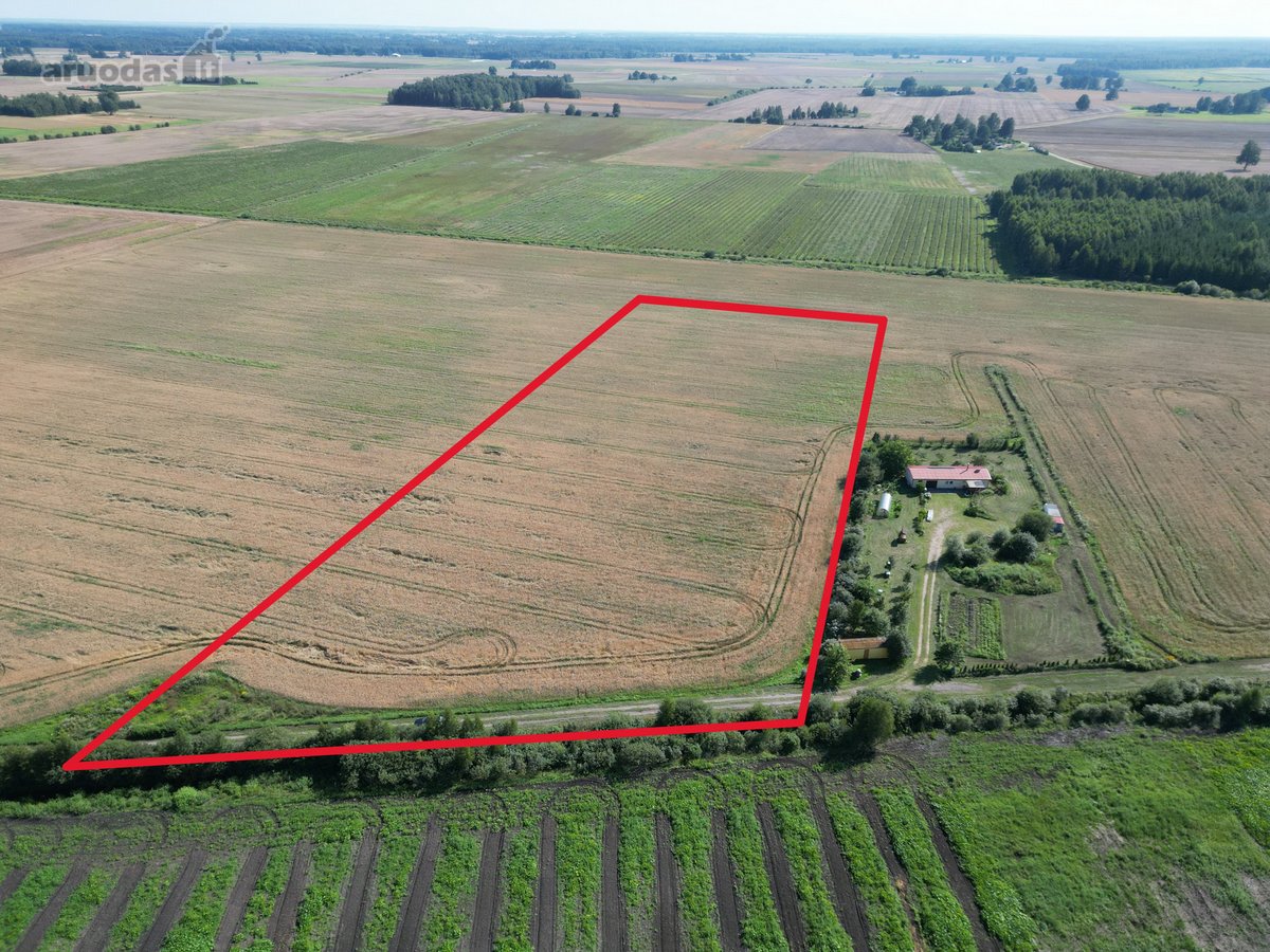 Girininkų II Kaime, Parduodamas 2,4 Ha Žemės - nuotraukos Nr. 3