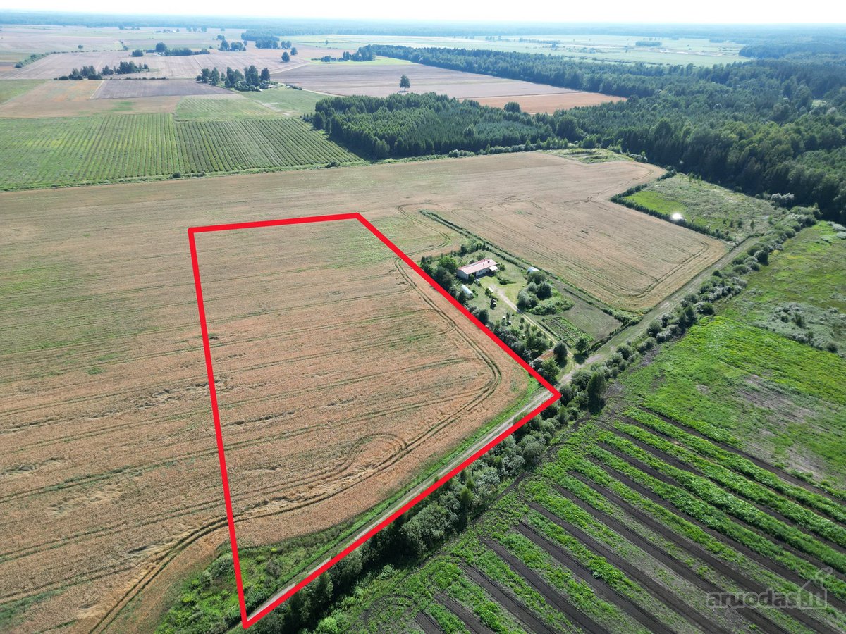 Girininkų II Kaime, Parduodamas 2,4 Ha Žemės - nuotraukos Nr. 4