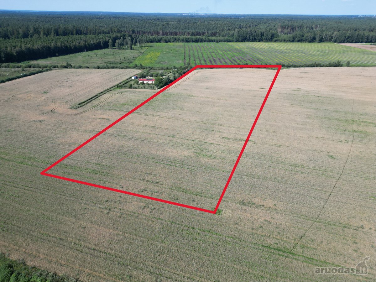 Girininkų II Kaime, Parduodamas 2,4 Ha Žemės - nuotraukos Nr. 5