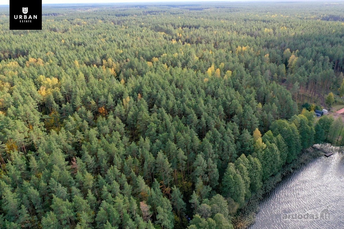 Parduodamas Sklypas Prie Meduvio Ež., Puiki - nuotraukos Nr. 2