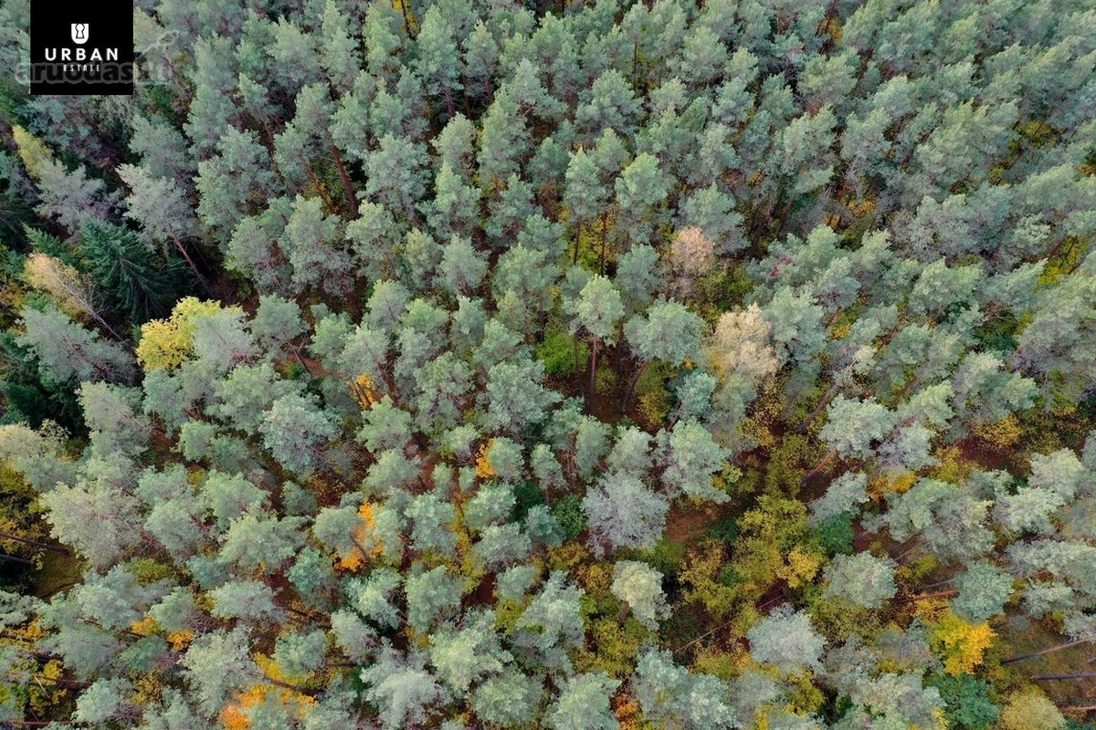 Parduodamas Sklypas Prie Meduvio Ež., Puiki - nuotraukos Nr. 3