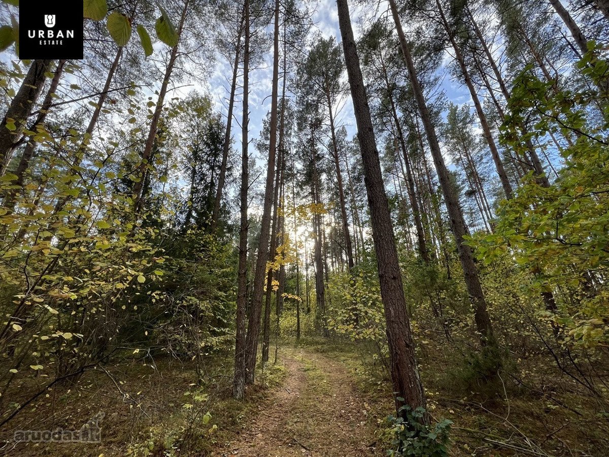 Parduodamas Sklypas Prie Meduvio Ež., Puiki - nuotraukos Nr. 7