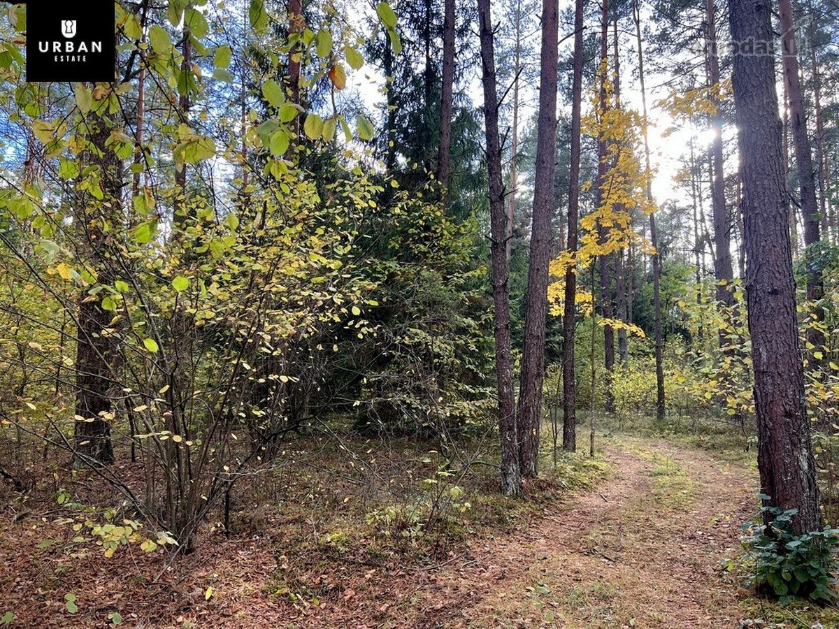 Parduodamas Sklypas Prie Meduvio Ež., Puiki - nuotraukos Nr. 8