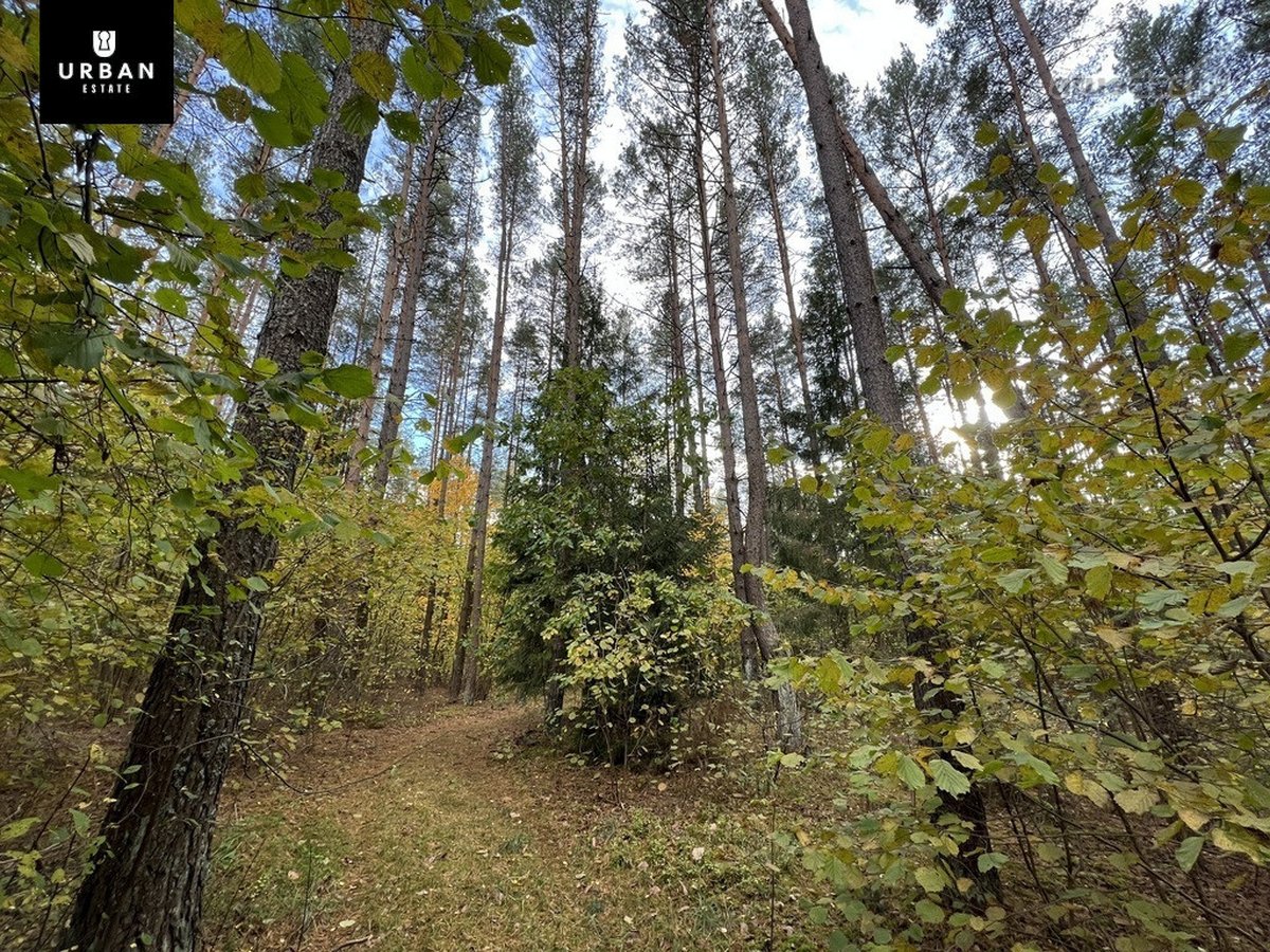 Parduodamas Sklypas Prie Meduvio Ež., Puiki - nuotraukos Nr. 10
