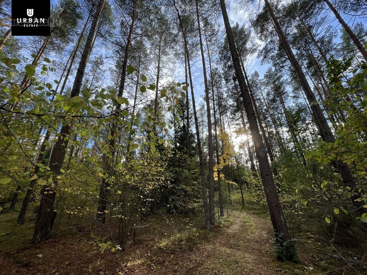 Parduodamas Sklypas Prie Meduvio Ež., Puiki - nuotraukos Nr. 11