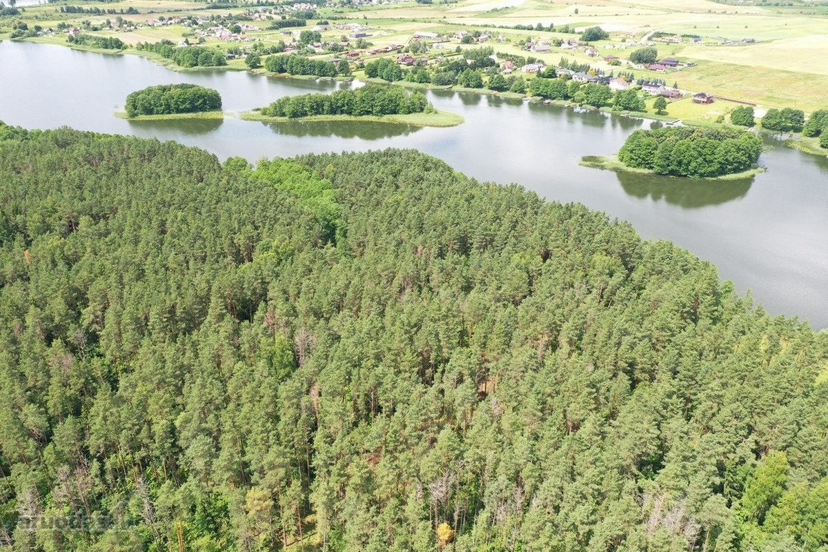 Parduodamas Sklypas Prie Meduvio Ež., Puiki - nuotraukos Nr. 13