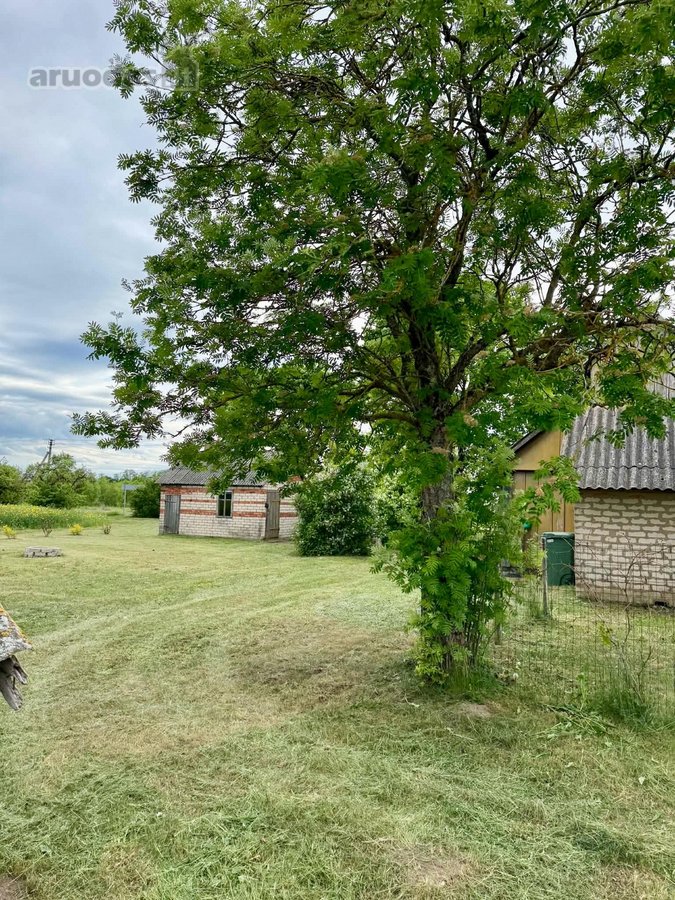 Parduodama jauki, autentiška kaimo sodyba - nuotraukos Nr. 5