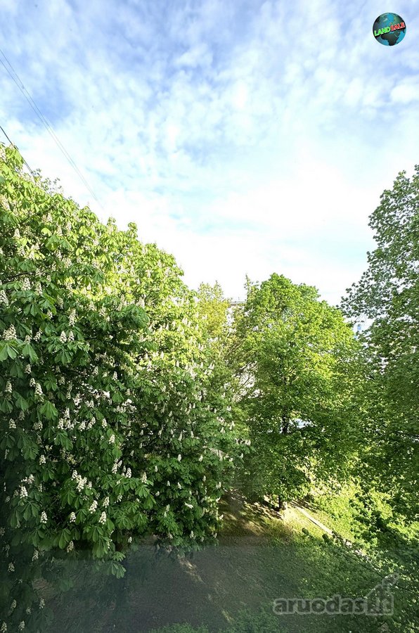 Šviesus ir jaukus 2 kambarių butas Šiaulių - nuotraukos Nr. 12