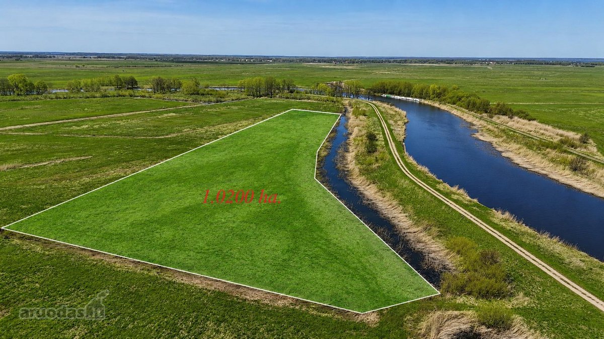 Parduodamas 1,0200 ha žemės ūkio paskirties - nuotraukos Nr. 8
