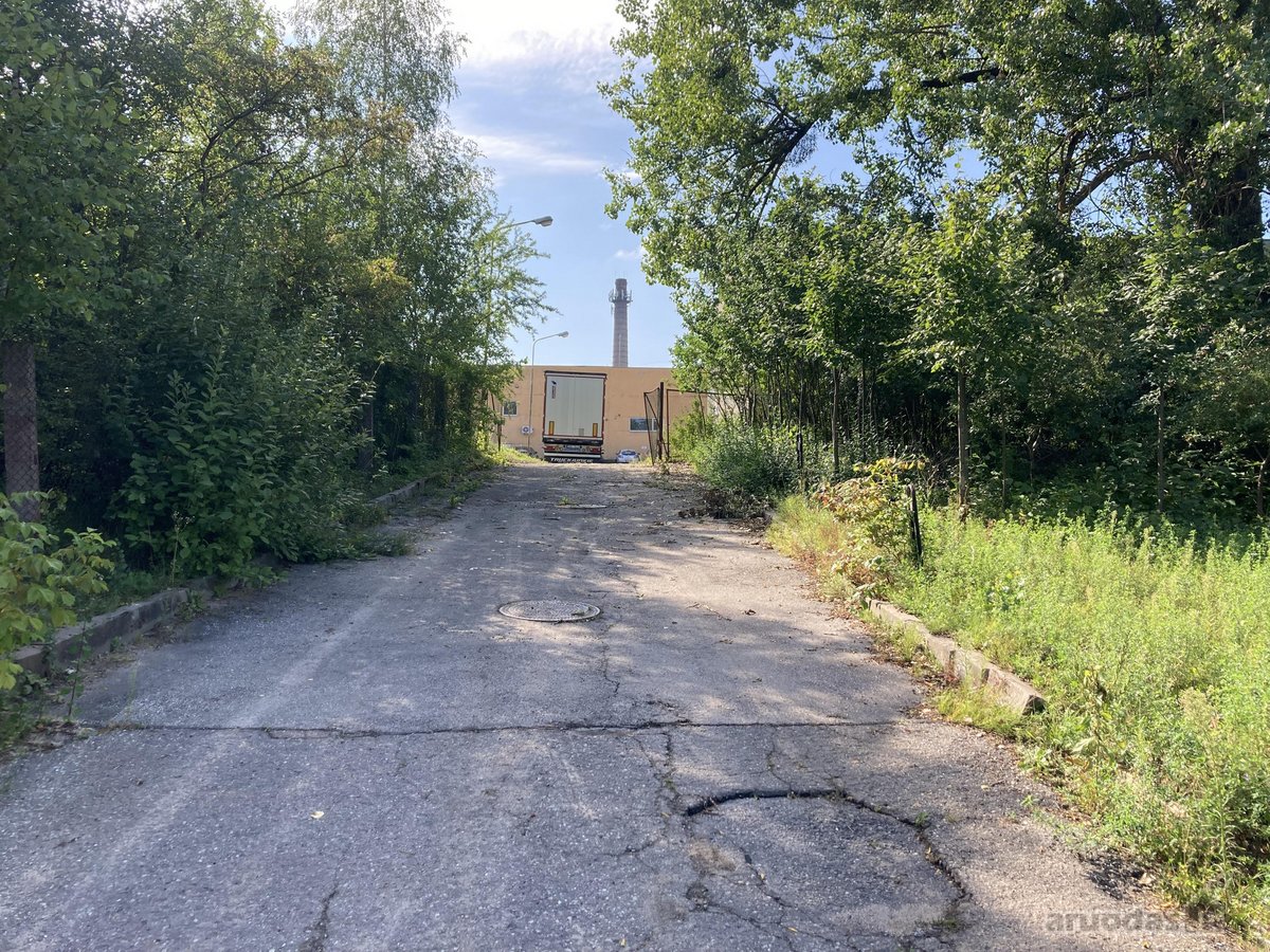 Išnuomojamos 29, 48 m2 su atskiru įėjimu. - nuotraukos Nr. 19