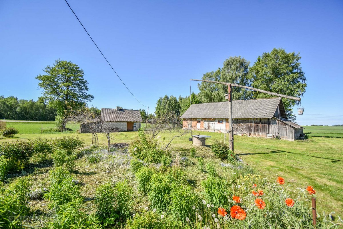 Sodyba 8,5 ha sklype šalia vandens telkinio - nuotraukos Nr. 6