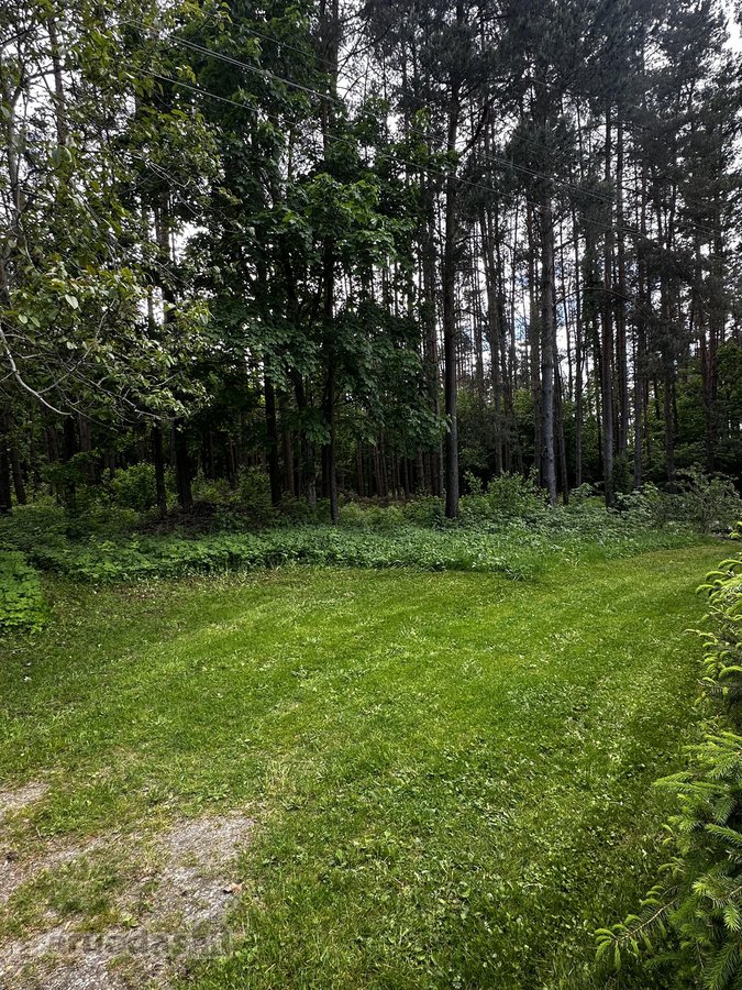 Išpuoselėta jauki ir rami vieta, aptverta - nuotraukos Nr. 28