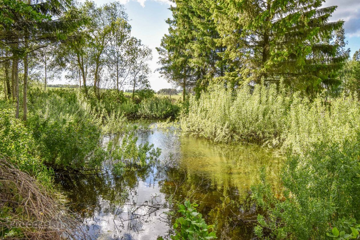 Sodyba 8,5 ha sklype šalia vandens telkinio - nuotraukos Nr. 28