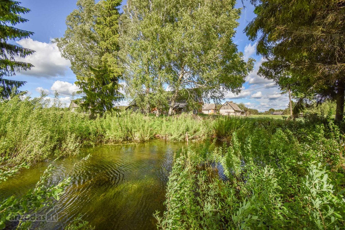 Sodyba 8,5 ha sklype šalia vandens telkinio - nuotraukos Nr. 30