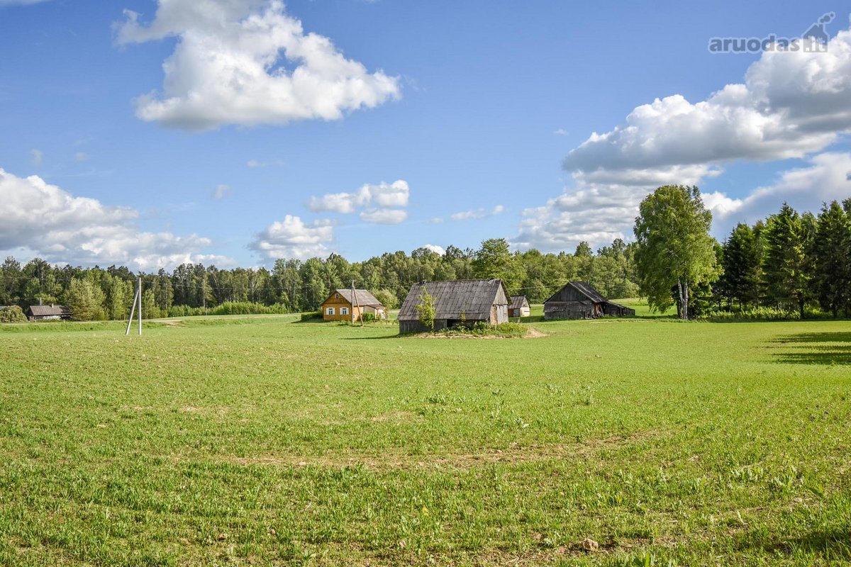 Sodyba 8,5 ha sklype šalia vandens telkinio - nuotraukos Nr. 31