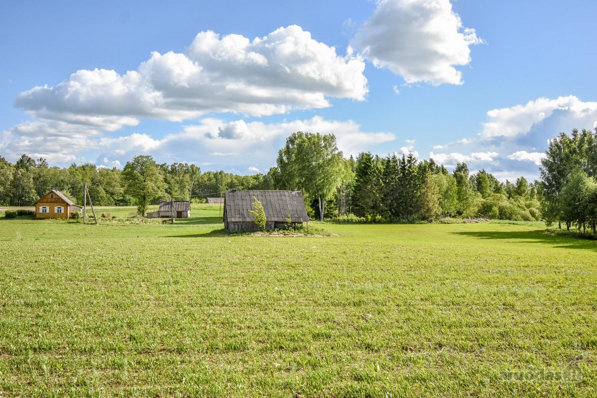Sodyba 8,5 ha sklype šalia vandens telkinio - nuotraukos Nr. 32