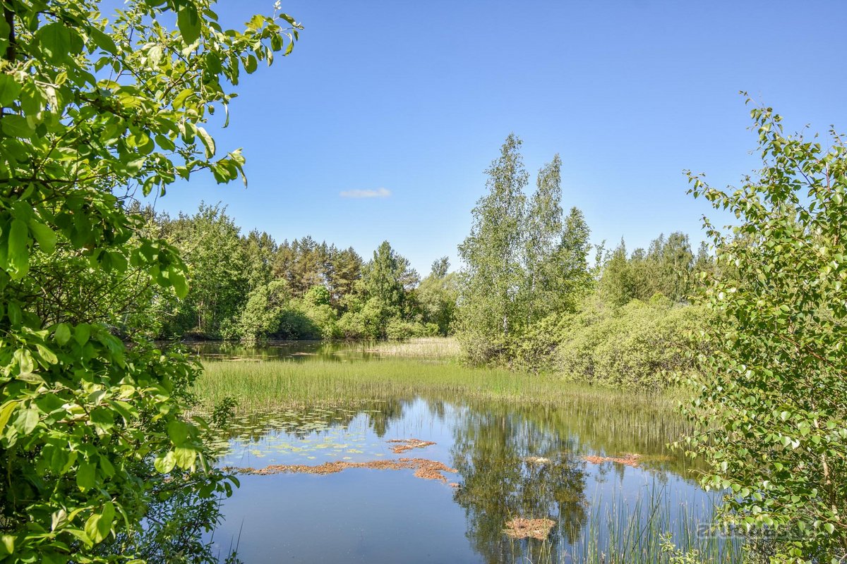 Sodyba 8,5 ha sklype šalia vandens telkinio - nuotraukos Nr. 33