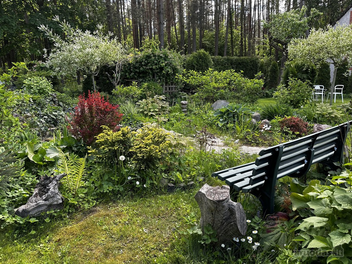 Išpuoselėta jauki ir rami vieta, aptverta - nuotraukos Nr. 10