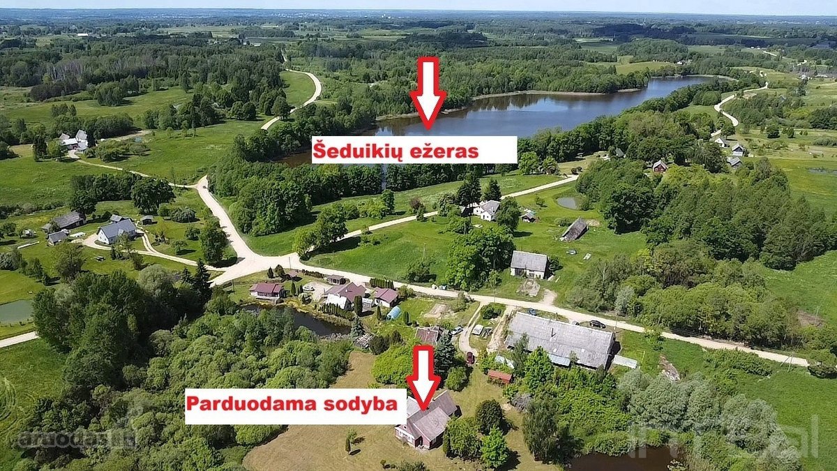 Netoli ežero, Šeduikių k., Utenos raj.