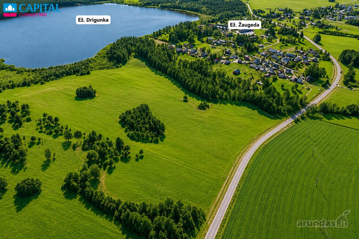 Parduodamas 675 arų žemės ūkio paskirties - nuotraukos Nr. 2