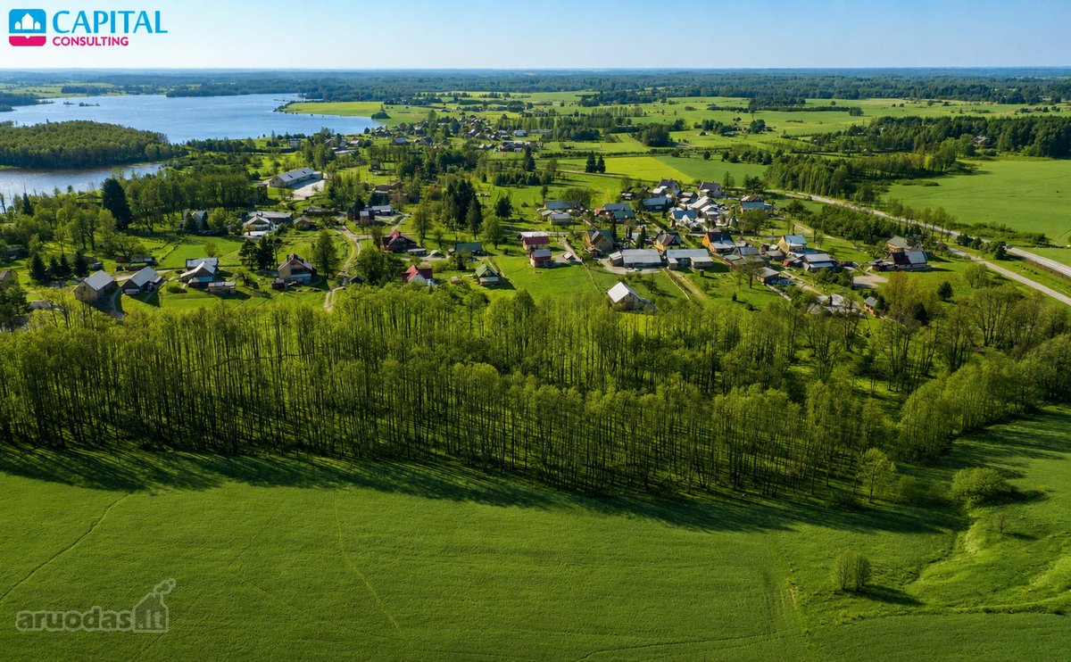 Parduodamas 675 arų žemės ūkio paskirties - nuotraukos Nr. 3