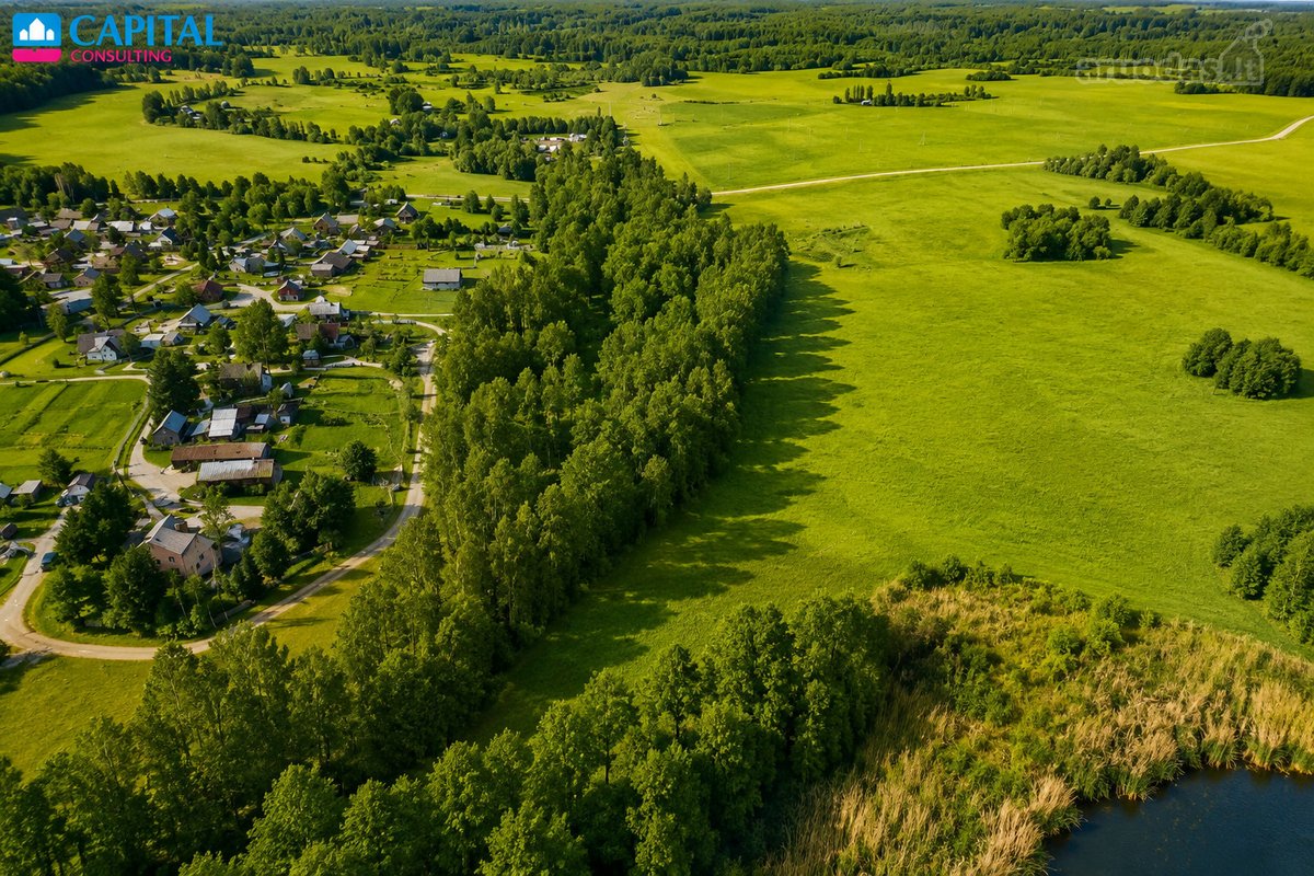 Parduodamas 675 arų žemės ūkio paskirties - nuotraukos Nr. 5