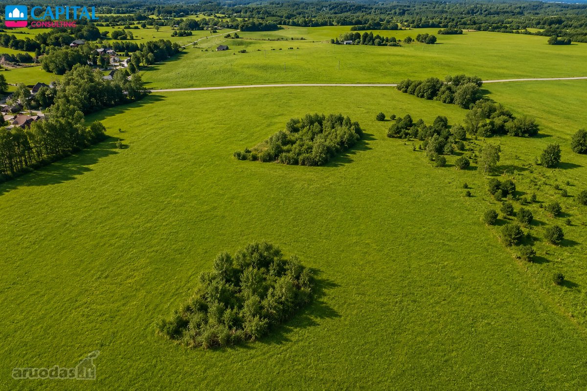 Parduodamas 675 arų žemės ūkio paskirties - nuotraukos Nr. 6